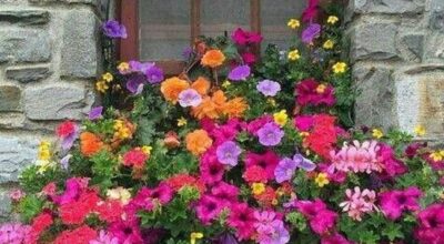 Concorso  “ MEZZOJUSO IN FIORE”  I Edizione
