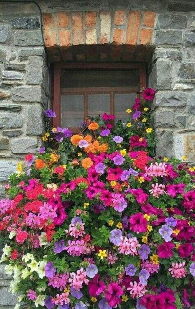 Concorso  “ MEZZOJUSO IN FIORE”  I Edizione